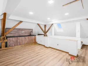 Pronájem bytu 1+kk, Příkosice, 85 m2