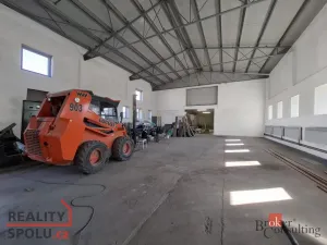 Pronájem skladu, Opava - Předměstí, 330 m2