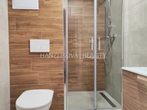 Pronájem bytu 1+1, České Budějovice - České Budějovice 2, J. Opletala, 40 m2