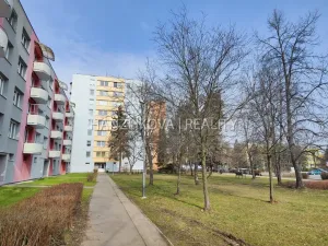 Pronájem bytu 1+1, České Budějovice - České Budějovice 2, J. Opletala, 40 m2