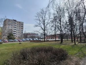Pronájem bytu 1+1, České Budějovice - České Budějovice 2, J. Opletala, 40 m2