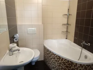 Pronájem bytu 3+kk, Děčín - Děčín IV-Podmokly, Palackého, 75 m2