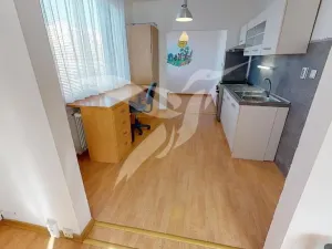 Pronájem bytu 2+1, Plzeň, Bzenecká, 68 m2