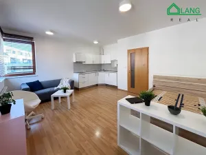 Pronájem bytu 1+kk, Brno, Křídlovická, 31 m2