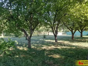 Pronájem zahrady, Vilémovice, 1504 m2