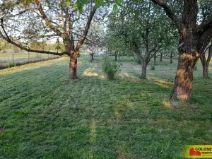 Pronájem zahrady, Vilémovice, 1504 m2