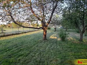 Pronájem zahrady, Vilémovice, 1504 m2