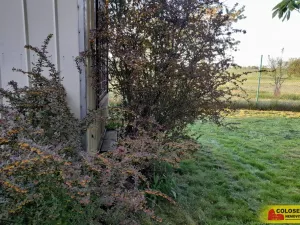 Pronájem zahrady, Vilémovice, 1504 m2