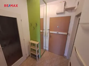 Pronájem bytu 1+kk, Praha - Vysočany, Pod Harfou, 42 m2