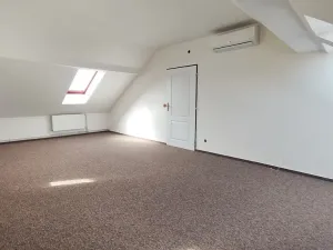 Pronájem bytu 3+1, Ostrava, Daliborova, 160 m2