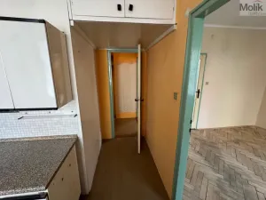 Prodej bytu 2+1, Most, Maxe Švabinského, 54 m2