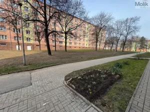 Prodej bytu 2+1, Most, Maxe Švabinského, 54 m2