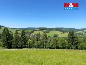 Prodej pole, Spělkov, 25164 m2