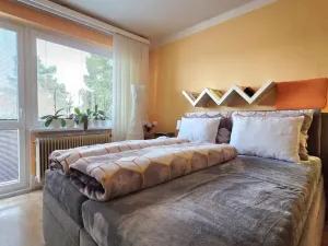 Prodej rodinného domu, Zruč nad Sázavou, Dvořákova, 190 m2