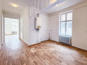 Prodej obchodního prostoru, Znojmo, Horní Česká, 300 m2