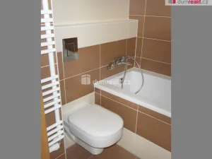 Pronájem bytu 1+kk, Praha - Dolní Počernice, Za luhem, 25 m2