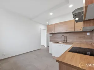 Pronájem bytu 1+1, Brno, Vavřinecká, 35 m2