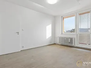 Pronájem bytu 1+1, Brno, Vavřinecká, 35 m2