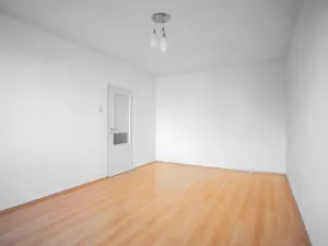 Prodej bytu 1+1, Plzeň - Jižní Předměstí, Čermákova, 39 m2