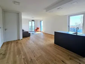 Pronájem bytu 3+kk, Praha - Smíchov, U Dívčích hradů, 123 m2