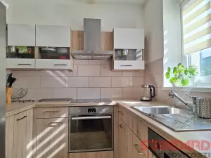 Pronájem rodinného domu, Štěnovice, Skalní, 102 m2