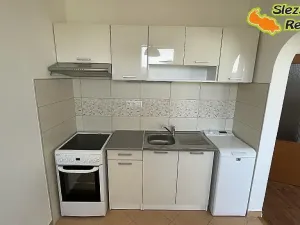 Pronájem bytu 1+1, Ostrava, Písečná, 35 m2