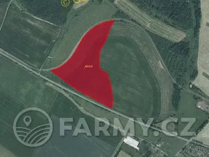 Prodej pole, Čermná ve Slezsku, 87189 m2