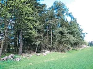 Prodej lesa, Nová Bystřice, 1069 m2