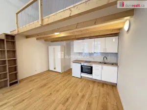 Pronájem bytu 1+kk, Praha - Smíchov, Na Valentince, 48 m2