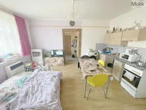 Prodej bytu 2+kk, Louny, Poděbradova, 47 m2