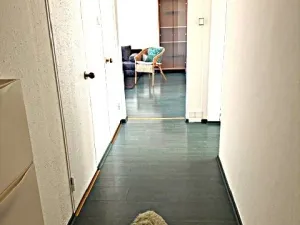 Pronájem bytu 3+1, Ostrava, Zelená, 69 m2