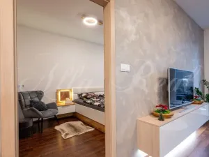 Pronájem bytu 2+kk, Brno - Slatina, Langrova, 66 m2