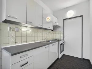 Pronájem bytu 2+1, Plzeň, Elišky Krásnohorské, 60 m2