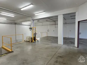 Pronájem výrobních prostor, Sokolov, Trocnovská, 876 m2