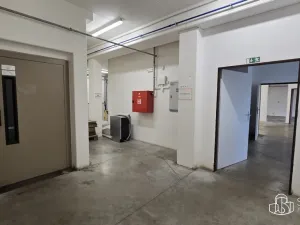 Pronájem výrobních prostor, Sokolov, Trocnovská, 876 m2