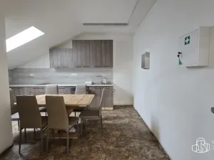 Pronájem výrobních prostor, Sokolov, Trocnovská, 876 m2
