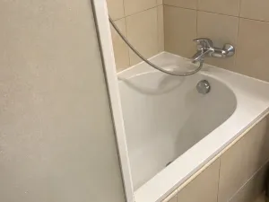 Pronájem bytu 3+kk, Praha - Vinohrady, Jana Masaryka, 110 m2