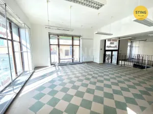 Pronájem obchodního prostoru, Opava, sady Svobody, 270 m2