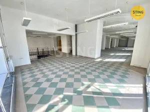 Pronájem obchodního prostoru, Opava, sady Svobody, 270 m2