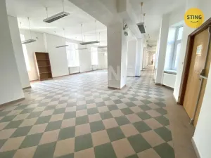 Pronájem obchodního prostoru, Opava, sady Svobody, 270 m2