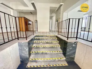 Pronájem obchodního prostoru, Opava, sady Svobody, 270 m2