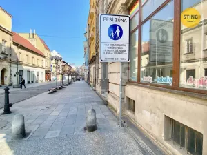 Pronájem obchodního prostoru, Opava, sady Svobody, 270 m2