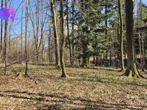 Prodej lesa, Rybí, 55558 m2