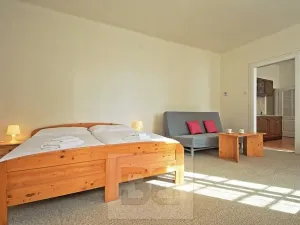 Pronájem bytu 2+kk, Praha - Nové Město, V jirchářích, 47 m2