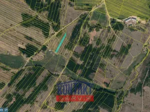 Prodej lesa, Opatov, 11455 m2