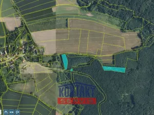 Prodej lesa, Bačalky - Lično, 32004 m2