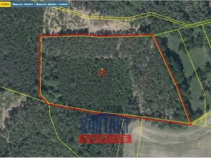 Prodej lesa, Bačalky - Lično, 32004 m2