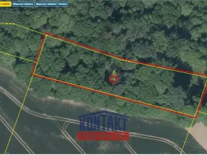 Prodej lesa, Bačalky - Lično, 32004 m2