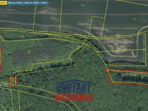 Prodej lesa, Bačalky - Lično, 32004 m2