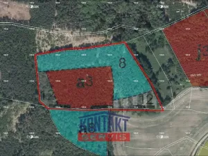 Prodej lesa, Bačalky - Lično, 32004 m2